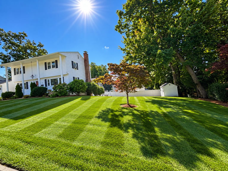 White two-story colonial house with black shutters on a manicured lawn under bright sunshine with mature trees