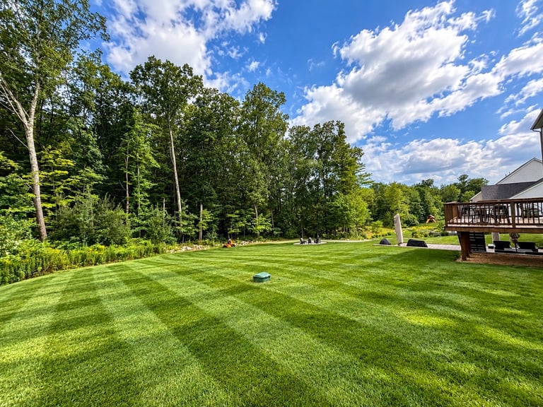 Manicured lawn with striped mowing pattern, surrounded by green trees and a wooden deck, under partly cloudy blue sky