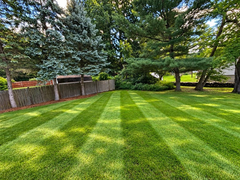 Well-maintained backyard with striped green lawn, wooden fence, and mature trees providing shade