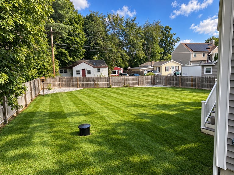 Well-maintained residential backyard with freshly mowed striped lawn, wooden fence, trees, and neighboring houses visible