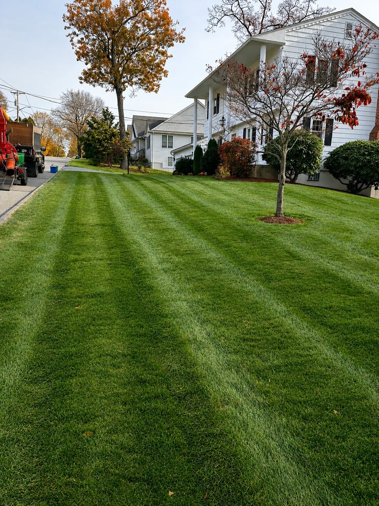 Well-maintained green lawn with striped mowing pattern in front of white two-story house with autumn trees