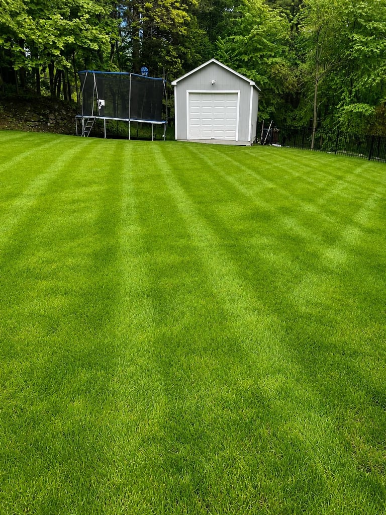 Manicured backyard with striped green lawn, white storage shed, and trampoline surrounded by dense green trees