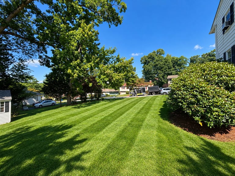 Well-maintained residential lawn with diagonal mowing stripes, bordered by green shrubs and trees under blue sky