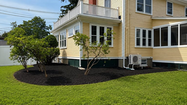 Yellow two-story house with white trim, black mulch landscaping bed, and green lawn with shrubs in front